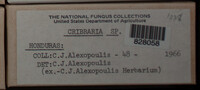 Image Associated With the Occurence
